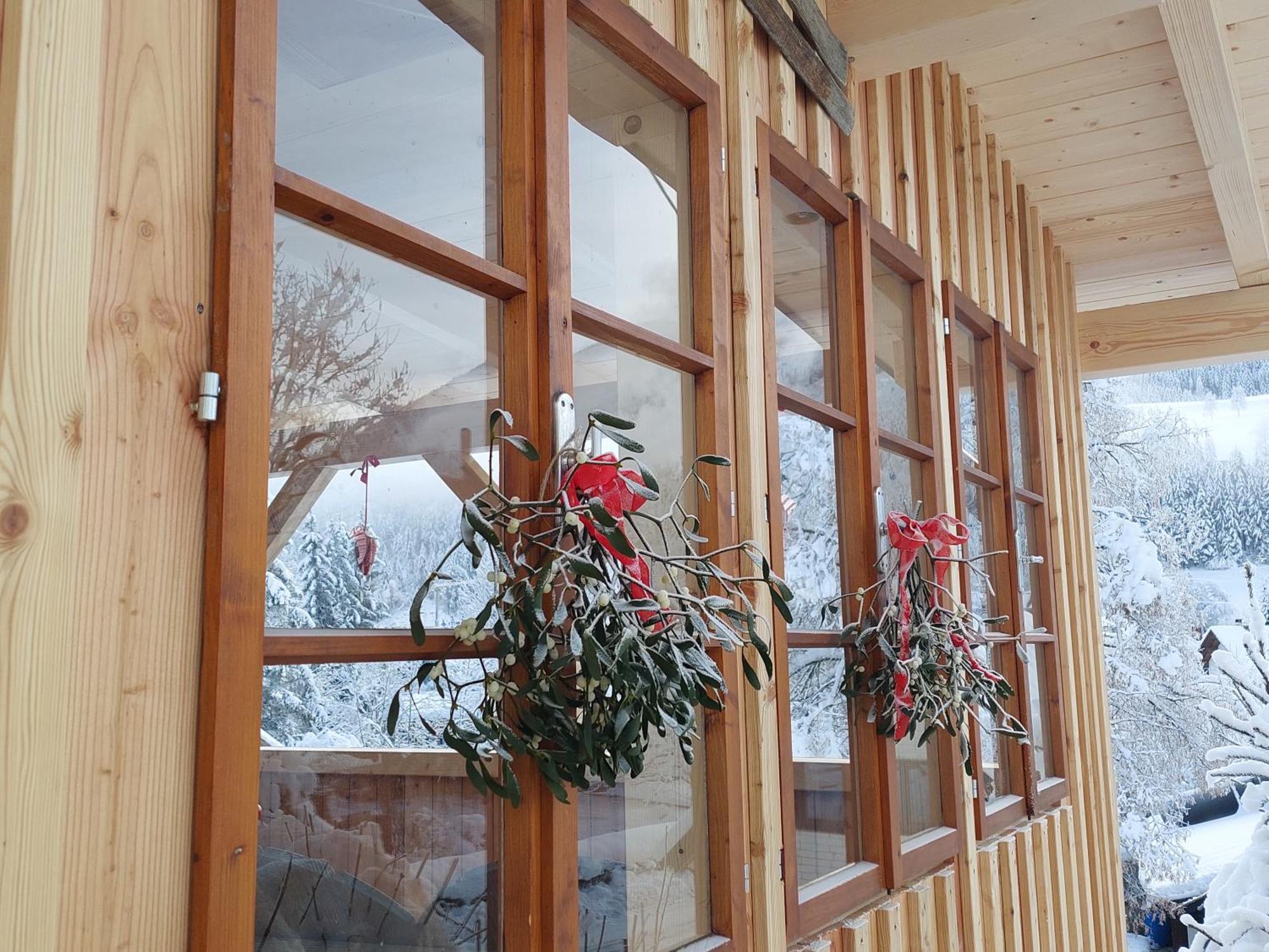 Haus Enzian Apartmán *